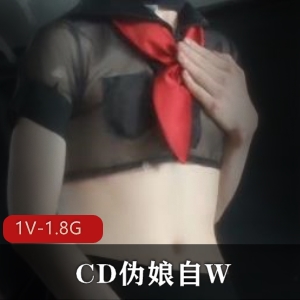 27分钟CD伪娘自拍：喷S战士打F机秀